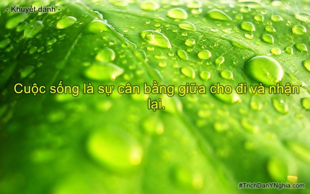 CHO ĐI LÀ CÒN MÃI