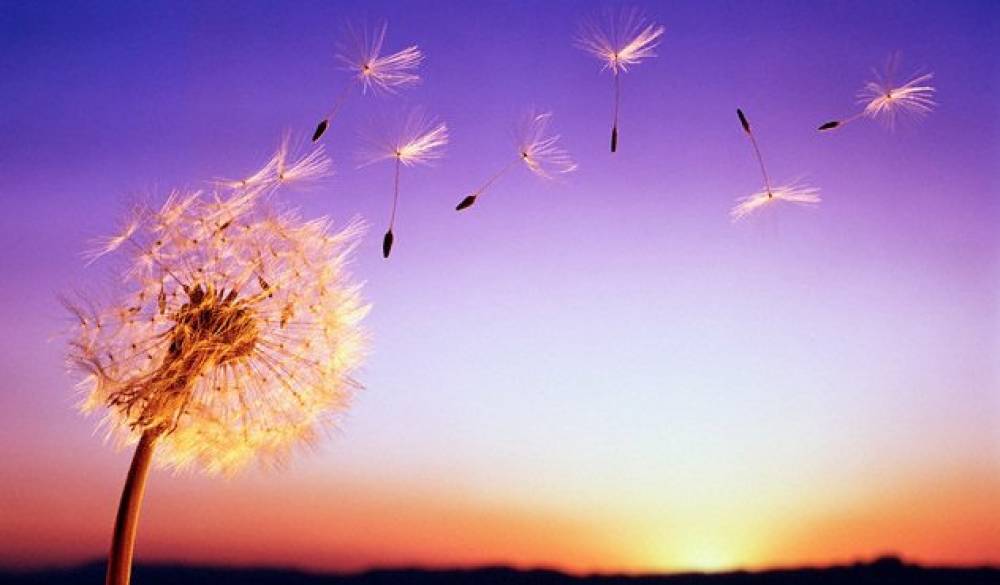 KIẾN GIẢI VỀ CHỮA TRỊ UNG THƯ - PHẦN 9: RĂN DẠY KINH NGHIỆM CHỮA UNG THƯ