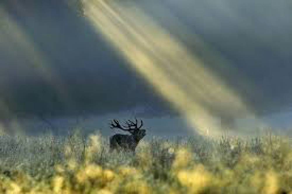 HỌC GIẢ & HÀNH GIẢ?