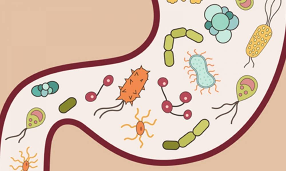 ĐAU DẠ DÀY DO RỐI LOẠN THẦN KINH THỰC VẬT