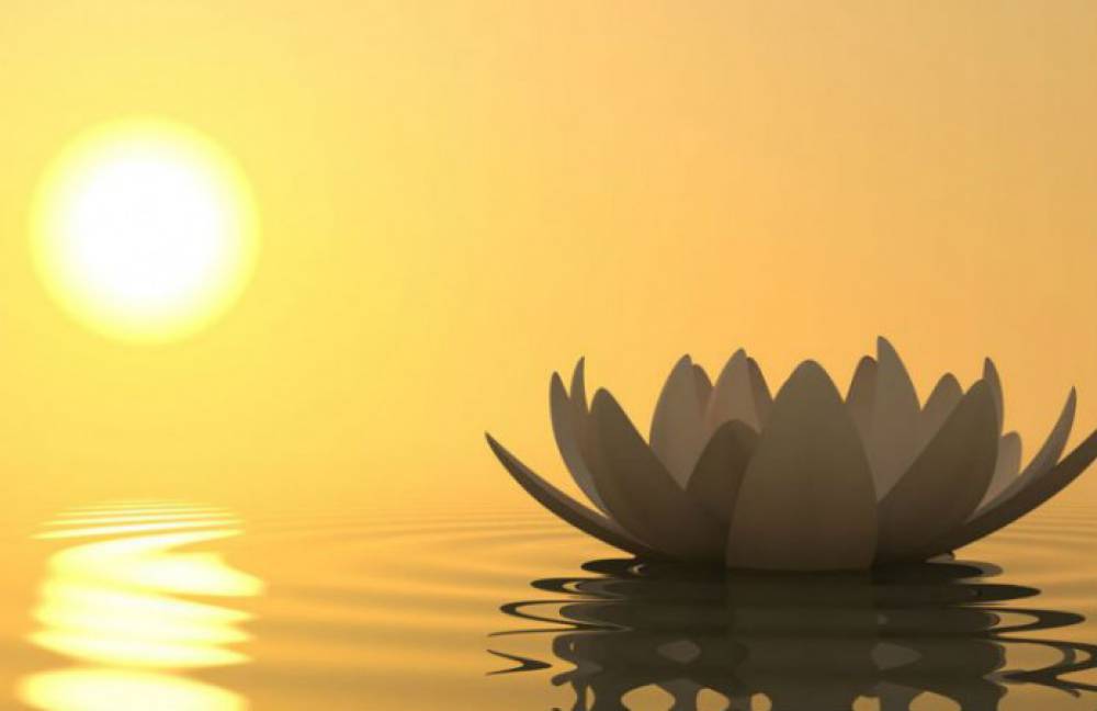 BIỂN CẢ ÔM LẤY DÒNG SÔNG